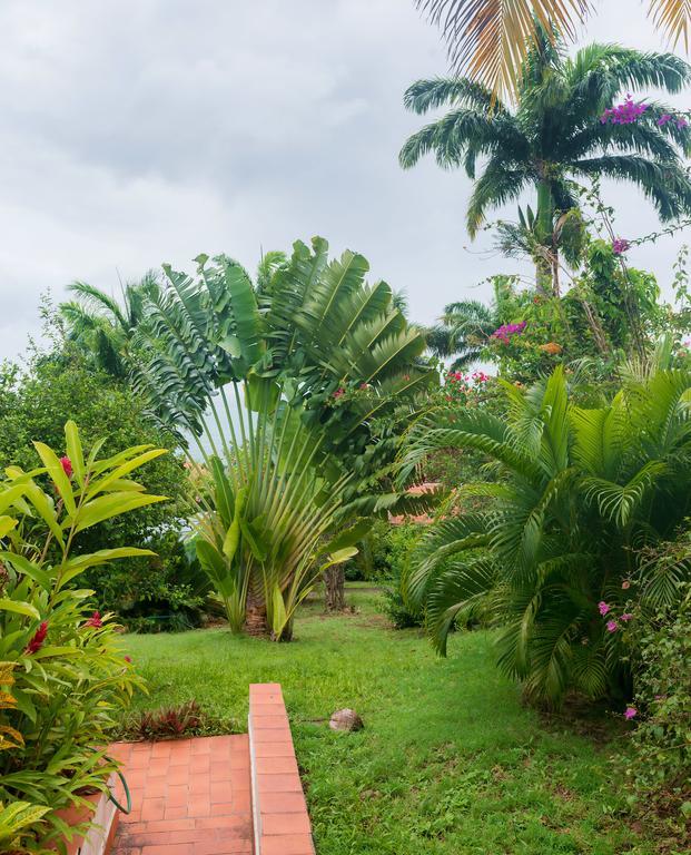 Royal Palm Holiday Apartment Méro Екстериор снимка